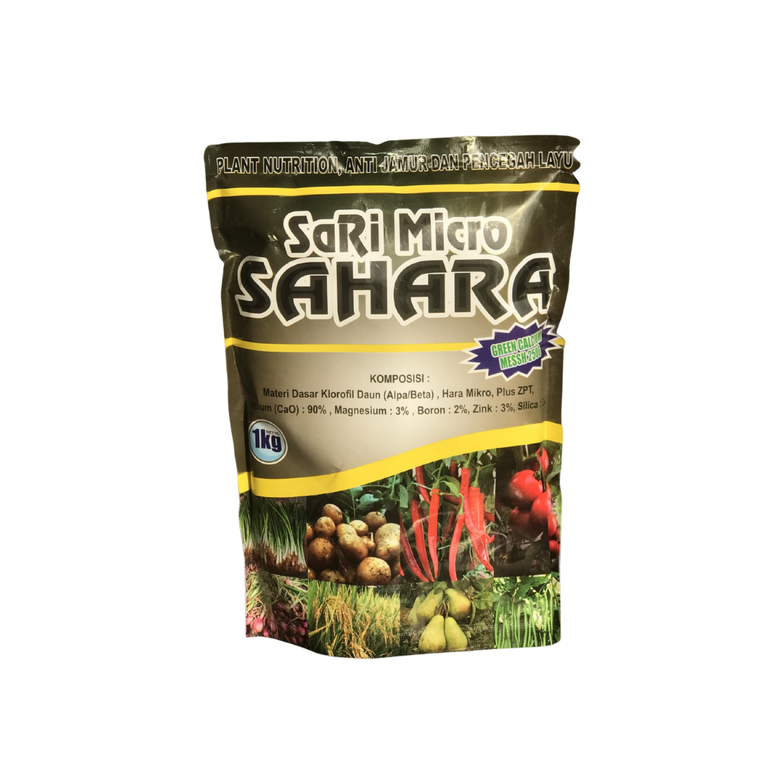 Sahara